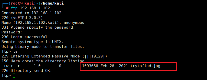 image-20250425232255654