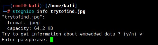 image-20250425232905214