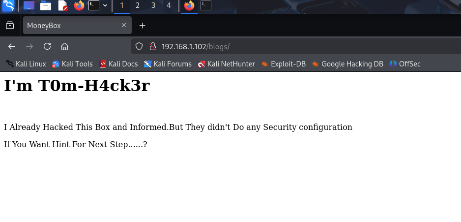 image-20250425233628440