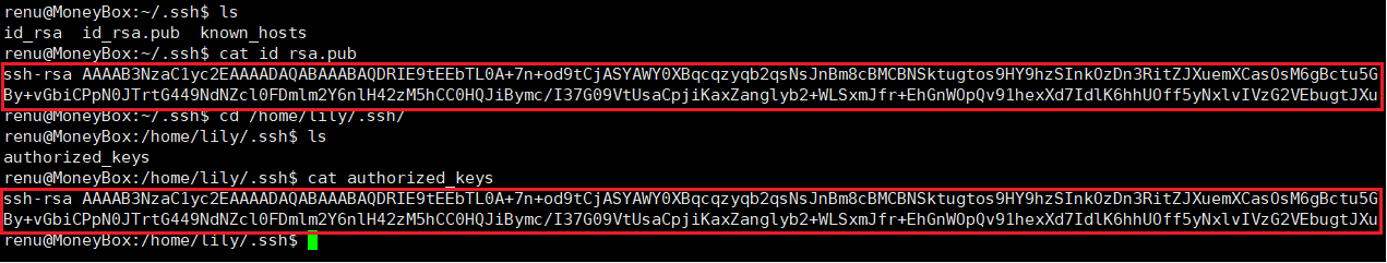 image-20250426002453872