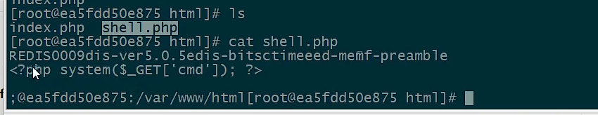 image-20250424154505121