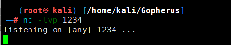 image-20250424170153391