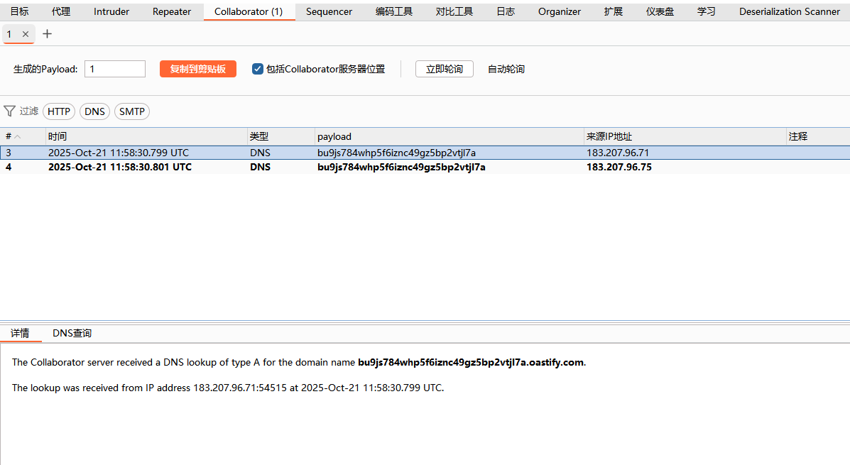 image-20251021195918656