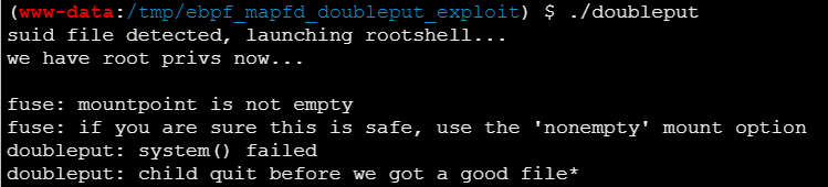 image-20260225122130749