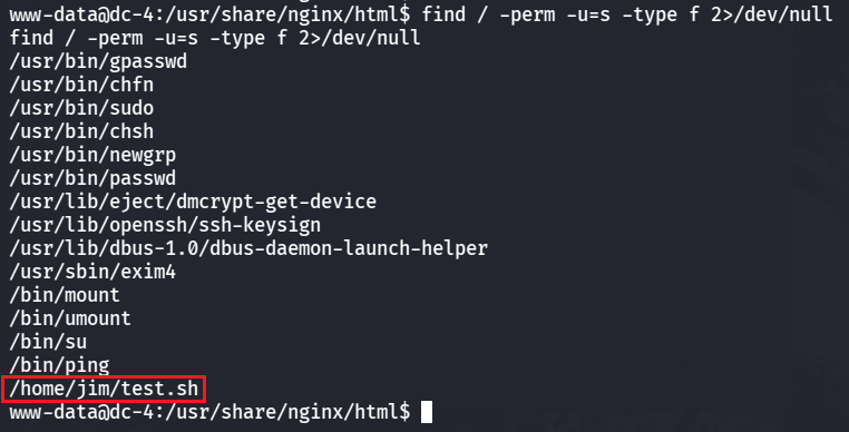 image-20260225204220718