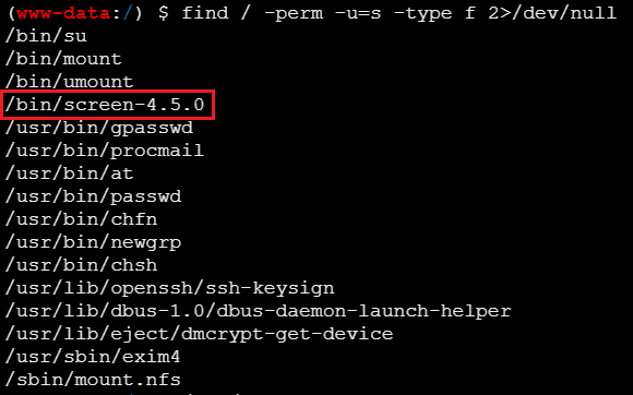 image-20260225225513032