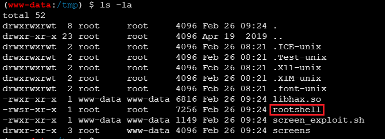 image-20260225232717163