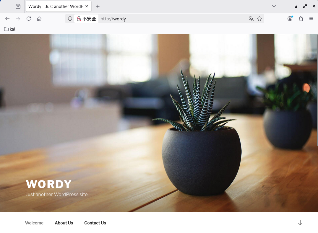 image-20260226131646051