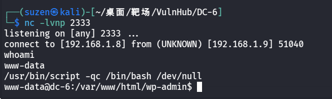 image-20260226141424818