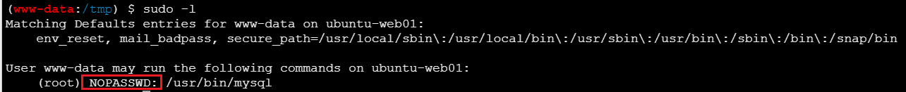 image-20251113110538507