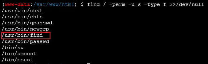 image-20251207225423957