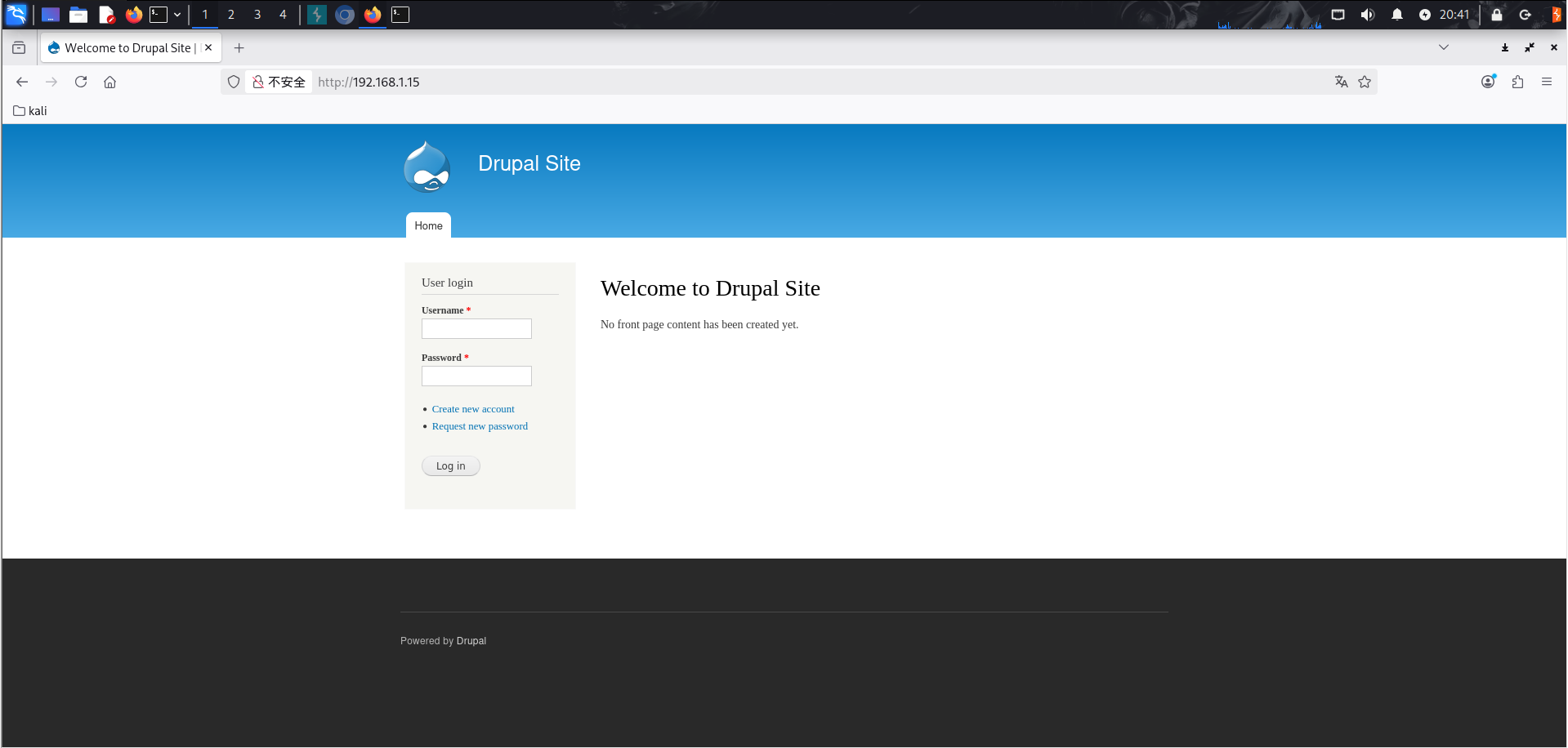 image-20260219204201923