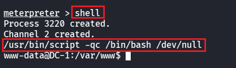 image-20260219211813605