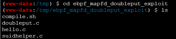 image-20260225120816995