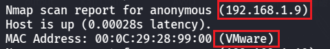 image-20260226130942334